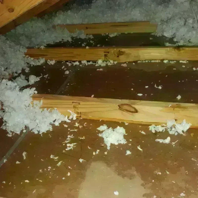 Attic Water Damage in Pomona, CA