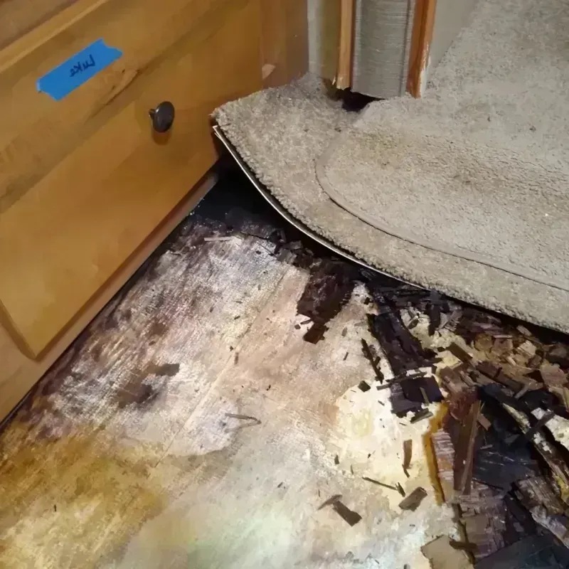 Wood Floor Water Damage in Pomona, CA